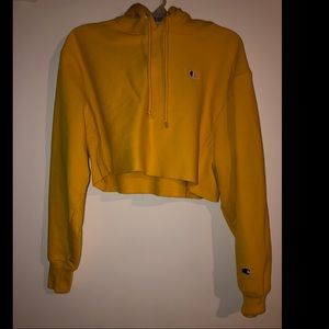 Champion Cropped Long Sleeve Hooded Sweatshirt
